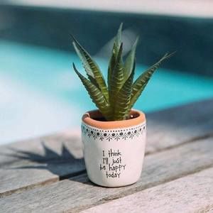 Meet your Posher, Iveth